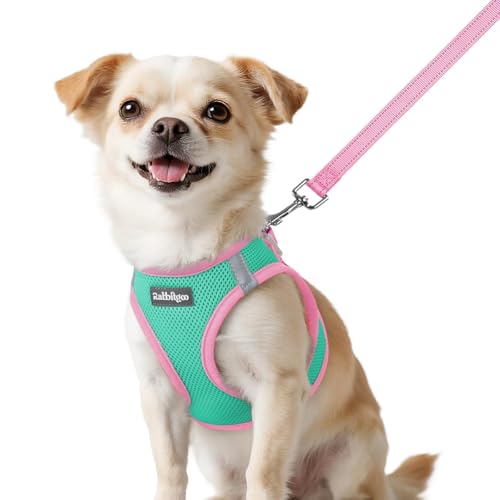 rabbitgoo Dog Harness Small Sized and Leash Set, Step-in Breathable Pet Harness, Soft Walking Reflective Puppy Vest for Small Dogs, Teal & Pink, XXS - color: Teal & Pink, size: XXS (Chest: 12.4 - 14.2")