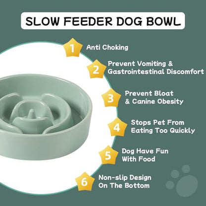 Havniva Ceramic Slow Feeder Dog Bowls, 0.9 Cups Dog Bowl Slow Feeding for Small Breed, 6.1inch Puzzle Dog Food Bowl Slow Feeder Non-Slip Anti-Gulping and Anti-Choking Reduces Bloating - color: 1 x Light Green-A, size: 6.1inch-New