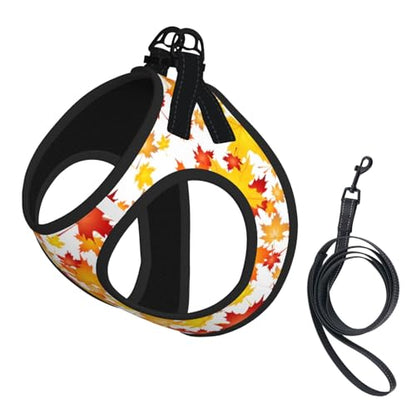 Maple Leaf Pet Harness Escape Proof Dog Harness Adjustable Mesh Padded Reflective Dog Vest Harness and Leash Set Small - color: Style 4, size: Small