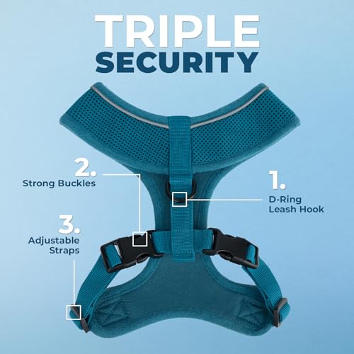 Voyager Aerolite Over the Head Dog Harness, No Pull Breathable Air Mesh Vest, Quick Dry with Reflective Stitching, Adjustable Escape Resistant Harness for Small Medium Large Dogs - Turquoise, Small - color: Turquoise, size: S