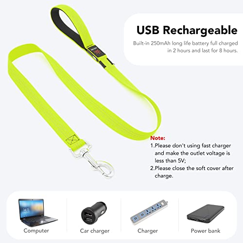 Colaseeme Light Up Dog Leash, LED Pet Leashes USB Rechargeable, Glow Safety Dogs Lights at Night (4FT,Green & Reflective Wires) - color: Green & Reflective Wires, size: 4FT