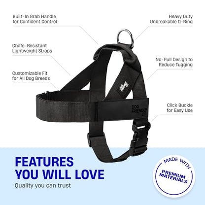 Dog Friendly Co. Dog Harness | Chafe Resistant Webbing, Adjustable Neck & Chest, and Heavy Duty D-Ring | Sturdy, Comfortable, Easy to Use | Black, Size L - color: Black, size: Large