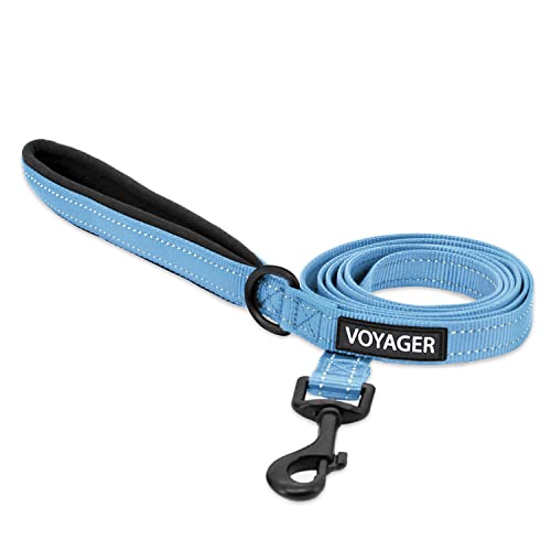 Best Pet Supplies Voyager Reflective Dog Leash or Collar with Neoprene Handle, for Small, Medium, and Large Breed Puppies, Cute and Heavy Duty for Walking, Running and Training - Baby Blue Leash, L - color: Leash (Baby Blue), size: Large (1" x 6ft)