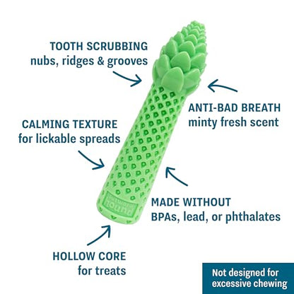 Dental Asparagus Treat-Stuffer Dog Toy – Multi-Textured, Mint Scent, Small & Medium Breeds, 6.7"