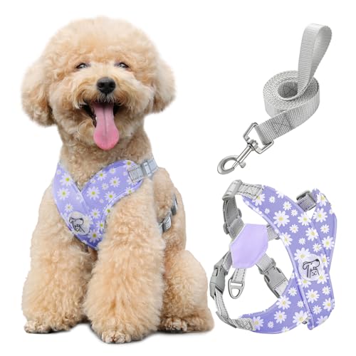 Pawaboo Small Dog Harness and Leash Set, Puppy Harness X-Frame No Pull No Choke, Dog Vest Harness Adjustable for Small Medium Sized Dogs,Soft Breathable Pet Harness for Walking Outing, M, Purple Daisy - color: B-Purple Daisy, size: M(Neck 15.7-18.9" Chest