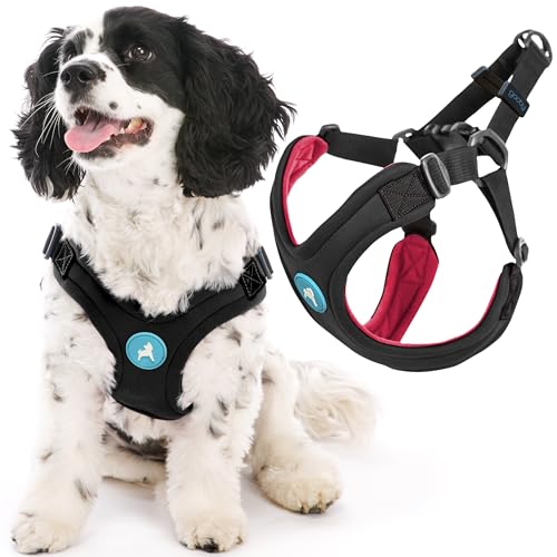 Gooby Sporty Escape Free Harness, Medium - Black, Neoprene, No-Pull, 4-Point Adjustment for Small Dogs up to 35 lbs - color: Black, size: Medium chest (14.25-21.5")