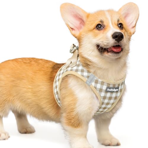 rabbitgoo Small Dog Harness, Step-in Soft Mesh Puppy Vest with Safety Buckle, Breathable Reflective Pet Harness for Small Medium Dogs, Beige Plaid L - color: Beige Plaid, size: L(chest:18.2"-20.5")
