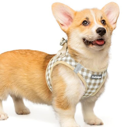 rabbitgoo Small Dog Harness, Step-in Soft Mesh Puppy Vest with Safety Buckle, Breathable Reflective Pet Harness for Small Medium Dogs, Beige Plaid L - color: Beige Plaid, size: L(chest:18.2"-20.5")