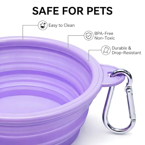 Collapsible Dog Bowls 2-Pack, Portable Travel Dog Bowl with Carabiner, Food-Grade BPA-Free Silicone Pet Food & Water Bowl for Dogs & Cats, Hiking Walking Camping (Purple and Mint Green) - color: Purple and mint green