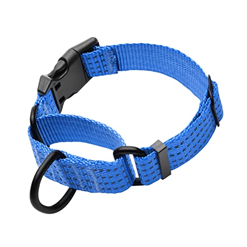 Martingale Collar for Training Dogs. Adjustable Reflective Dog Collars with Buckle- NO Pull-Prevents Slipping Out, for Medium Large XL Dogs. Helps with Strong pullers (M, Blue) - color: Blue, size: M