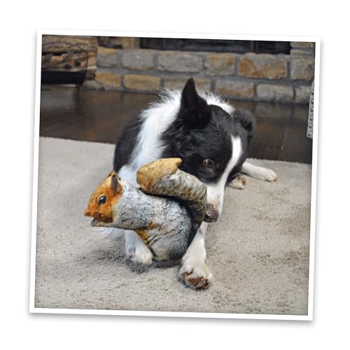 Doggijuana Refillable Juananip Toy Bundle | Squirrel Bundle | Funny Dog Toy Plush with Catnip and Refill | Calming Aid for Dogs | Interactive Chew Toy for Play - style: Squirrel