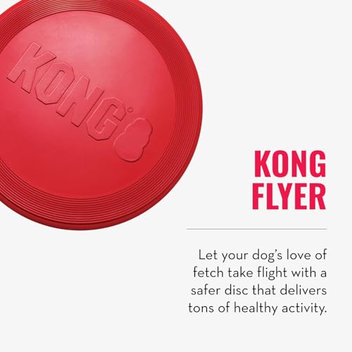 KONG Goodie Bone & Flyer - Dog Toys to Enrich Playtime - Dog Bone & Soft Throwing Disc Support Mental Engagement - Rubber Bone for Treats - Rubber Flying Disc with Dynamic Rebound - for Large Dogs - size: Large