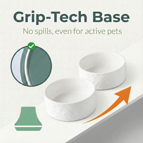Ceramic Dog and Cat Bowl 2-Pack Small Heavy Weighted Non-Slip Food & Water Set for Cats & Small Dogs 13.5oz White - color: White – 2 Pack