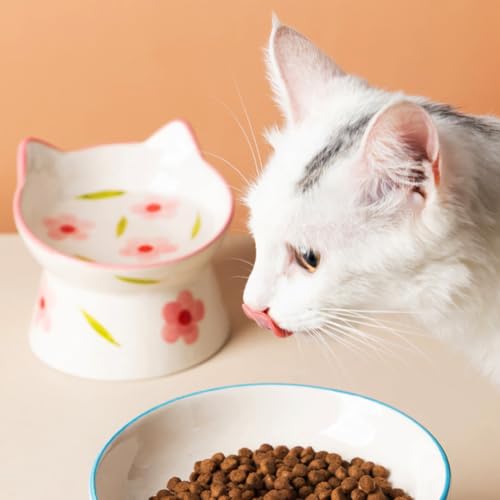 Ceramic Raised Cat Bowls, Anti Vomiting and Protect Pets' Spines for Indoor Cats Whisker Friendly Pet Feeder for Cats Puppies (Pink) - color: Pink