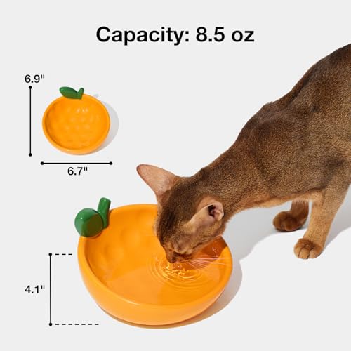 VETRESKA Ceramic Pet Bowl Tilted Design Pet Feeder for Food and Water Anti Vomit Cat Bowls for Indoor Cats Cute Tangerine Cat Bowl Dishwasher Safe - color: Tangerine Bowl