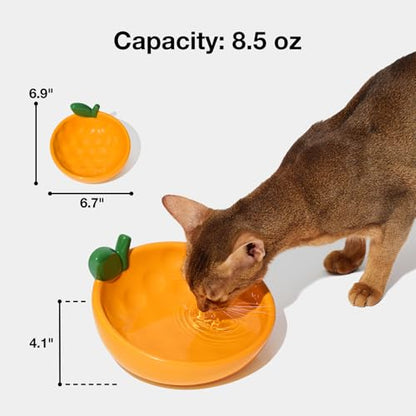 VETRESKA Ceramic Pet Bowl Tilted Design Pet Feeder for Food and Water Anti Vomit Cat Bowls for Indoor Cats Cute Tangerine Cat Bowl Dishwasher Safe - color: Tangerine Bowl