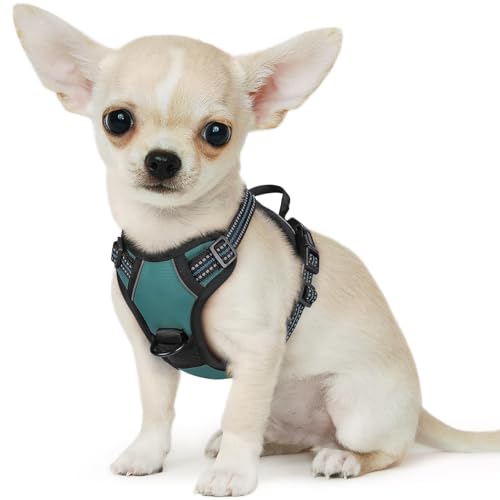 Small Dog Harness No Pull, Service Vest with Reflective Strips and Control Handle, Adjustable and Comfortable for Walking, No Choke Pet Harness with 2 Metal Rings, Dark Green, XS - color: Dark Green, size: X-Small