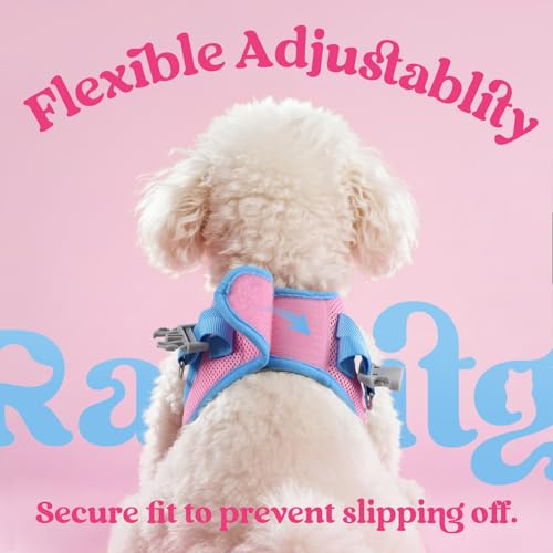 rabbitgoo Dog Harness Small Sized and Leash Set, Step-in Breathable Pet Harness, Soft Walking Reflective Puppy Vest for Small Dogs, Pink & Light Blue, XS - color: Pink & Light Blue, size: XS (Chest: 13.3 - 15.5")