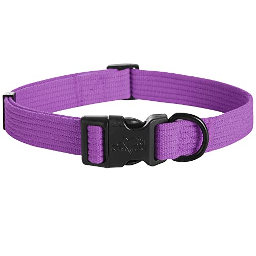 Dog Collar Soft Padded Breathable Cotton Solid Color Strong Adjustable Pet Collar for Little Puppy - color: Purple, size: M