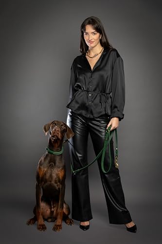 NOAH & PAW Leather Dog Leash, Premium Oil-Waxed Leather Braided, 8 ft Long Dog Leash with 6 Ways to Use Hands-Free, Quick-tie, Double Pet Lead Etc. Matching Collar Available. (Dark Green) - color: Dark Green