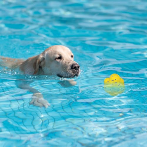 Mellow Dog Calming Balls, Indestructible Tennis Balls for Aggressive Chewers, Interactive Dog Toys (Yellow)