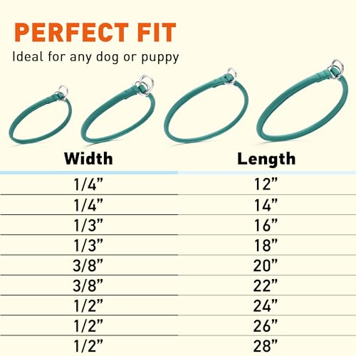 Dogline Soft and Padded Round Leather Choke Collar for Dogs (Teal, W1/4-in x L12-in) - color: Teal, size: W1/4-in x L12-in