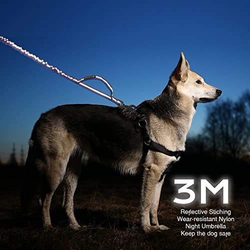 BUMBIN 6Ft Dog Leash - Large Dogs, Bungee Leash with 2 Handles, Heavy Duty, No Pull Shock Absorbing, Purple - color: Purple