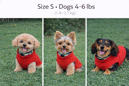 JACKO & CO - Fleece Vest Dog Sweater with Leash Ring - Soft, Warm & Lightweight Pullover Coat for Small & Medium Dogs, Puppies & Cats - Cozy Fall/Winter/Spring Pet Jacket (Red, Small 4-6lbs) - color: Red, size: S (4-6lbs)