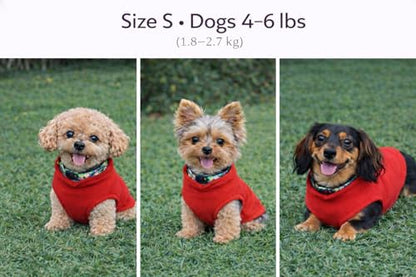 JACKO & CO - Fleece Vest Dog Sweater with Leash Ring - Soft, Warm & Lightweight Pullover Coat for Small & Medium Dogs, Puppies & Cats - Cozy Fall/Winter/Spring Pet Jacket (Red, Small 4-6lbs) - color: Red, size: S (4-6lbs)