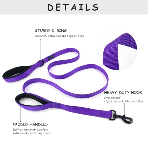 Wagtime Club Double Handle Dog Leash, 6ft Long Heavy Duty Dog Leash with Paded Traffic Handles for Extral Control and Training, Dual Handles Leads, Large Medium Small Dogs (Vibrant Purple) - color: Vibrant Purple