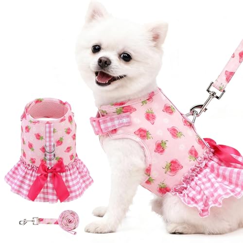 EXPAWLORER Dog Harness Small Medium Sized Dogs, Plaid Dog Dress Bowknot Harness and Leash Set, No Choke No Pull Soft Mesh Vest Cute Princess Puppy Outfits Clothes Costume for Girls Party Cats Pink M - color: Strawberry Pink, size: Medium(Chest Girth 14.5"
