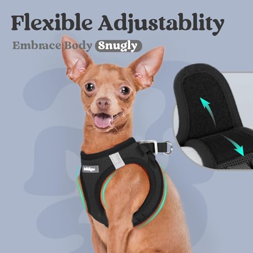 rabbitgoo Small Dog Harness, Step-in Soft Mesh Puppy Vest with Safety Buckle, Breathable Reflective Pet Harness for Small Sized Dogs, Black M - color: Black, size: M(chest:16.0"-18.5")