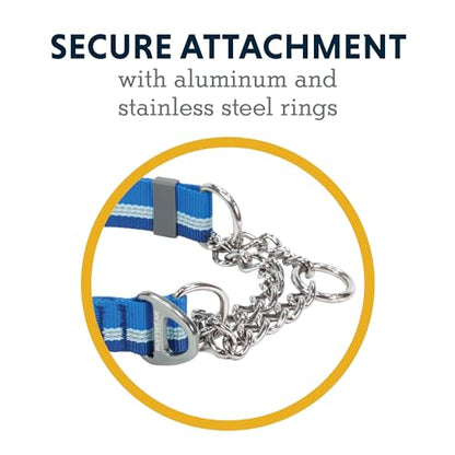 Ruffwear, Chain Reaction Dog Collar, Adjustable Reflective Martingale Escape-Proof Collar with Stainless Steel Chain, Professional Training Control, Blue Pool, 11"-14" - color: Blue Pool, size: 11"-14"