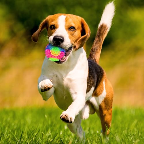 2 Pieces 2.5" Light up LED Dog Toy Ball Elastic Flashing Glowing Interactive Toy Pet Color Ball Bounce-Activated for Small Medium Dogs and Puppies(Classic Style)