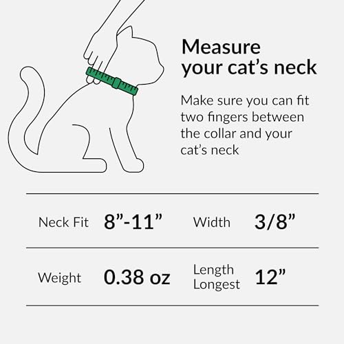 CollarDirect Leather Cat Collar with Removable Bell – Safety Elastic Strap (Breakaway Alternative) – Kitten Collar for Small & Big Boy & Girl Cats - color: Mint Green, size: 8-11 Inch