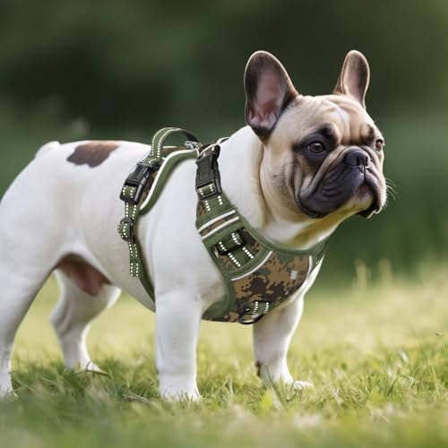 Dog Harness Small Sized,No Pull Dog Harness Adjustable Metal Rings 3 Buckles,Reflective No Choke with Easy Control Handle for Small Dogs,Military Green S - color: Military Green, size: Small (Pack of 1)