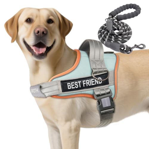 AUROTH Dog Harness and Leash Set, Soft Padded Service Dog Vest with 5.25FT Dog Leash, No Choke, Easy On Pet Vest, Adjustable Reflective No Pull Dog Harness for Large Dogs, Easy Walking and Training - color: Macaron Blue, size: Large