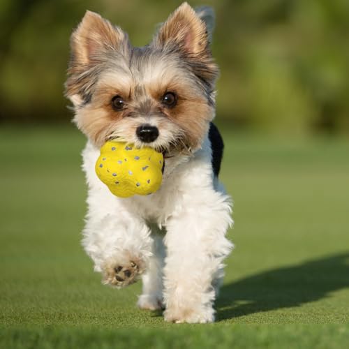 Mellow Dog Calming Balls, Indestructible Tennis Balls for Aggressive Chewers, Interactive Dog Toys (Yellow)