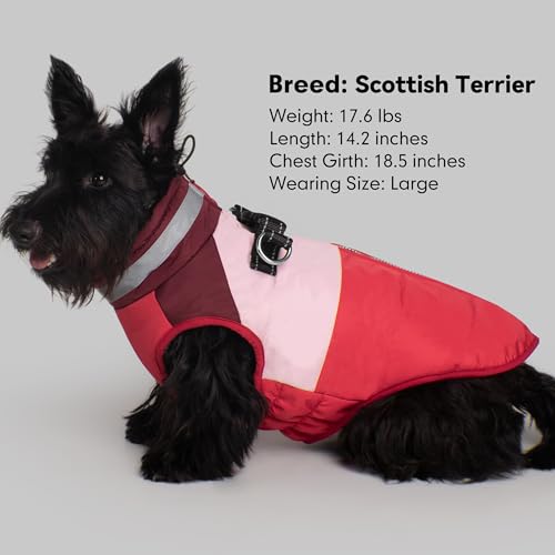 Dog Jacket for Small Dogs Waterproof Dog Coat with Reflective Strips and Harness Built in Warm Fleece Dogs Winter Coat Windproof with Back Zipper, Red L - color: Red, size: Large