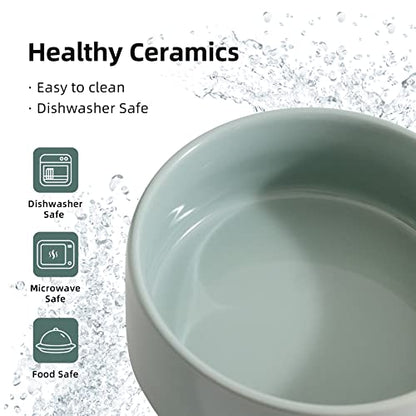 Havniva Cat Bowls Water Bowl Set of Two, 5.1” Ceramic Cat Food and Water Bowl Whisker Friendly Pet Food Bowls for Indoor Cats, Wide Cat Water Dish Prevent Whisker Fatigue Non Slip Cat Feeder - color: 2 x Bowl - Light Green