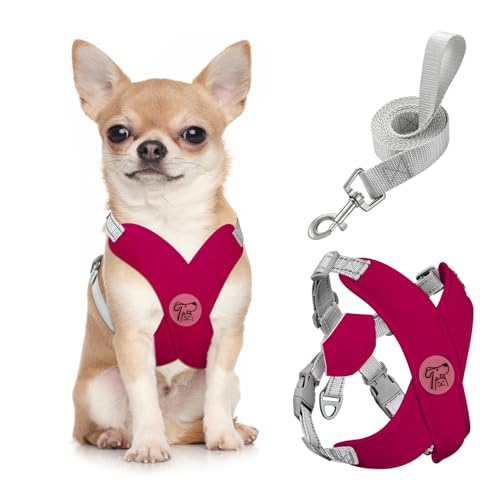 Pawaboo Small Dog Harness and Leash Set, Puppy Harness X-Frame No Pull No Choke, Dog Vest Harness Adjustable for Small Medium Sized Dogs, Soft Breathable Pet Harness for Walking Outing, S, Magenta - color: A-Magenta, size: S(Neck 12.6-16.5" Chest 12.6-22.