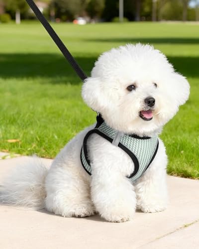 Dog Harness Small Sized and Leash Set, Step in Soft Light Puppy Vest, Breathable Mesh Pet Harness Suitable for Puppies and Kittens. (Light Green, XXS(Chest:10.24-11.81")) - color: Light Green, size: XXS(Chest:10.24-11.81")