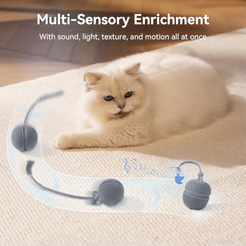 Cheerble 2 in 1 Interactive Cat Toys for Indoor Cats - Wicked Ball Duo2 Automatic Cat Toy, Dual Interchangeable Shells, Electric Cat Toy Ball with Chirping Sounds,Rechargeable Moving Kitten Toys, Blue - color: Blue