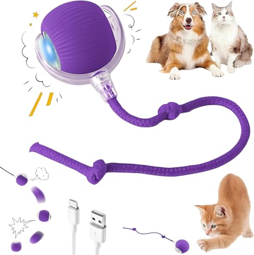 Interactive Electric Automatic Rolling Moving Rechargeable Self Play Stimulation Toy,Smart Pet Chase with Speedy Tail Rope for Bored Indoor Cats (Purple) - color: PURPLE