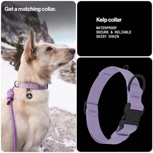 Säker Trust™ Rope Dog Leash – 61” Climbing Rope Lead with 7075 Aluminum Carabiner, Waterproof & Reflective Training Gear for Dogs, Built for Trail Running, Hiking, Everyday Use – Purple - color: Lilas