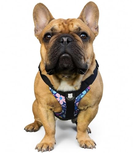 No-Pull Harness for English & French Bulldogs - Adjustable Wide-Chest Fit, Reflective Vest with Control Handle (Frisky Flowers, Small) - color: Frisky Flowers, size: Small