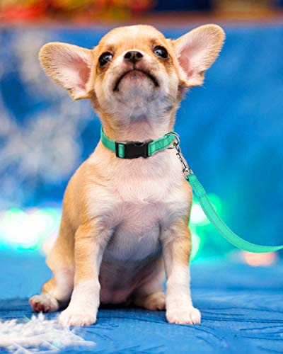 Reflective Dog Collar, Sturdy Nylon Collars for Puppy and Extra Small Girl and Boy Dogs, Adjustable Dog Collar with Quick Release Buckle,Turquoise,5/8" Width - color: Turquoise, size: X-Small Plus (Pack of 1)