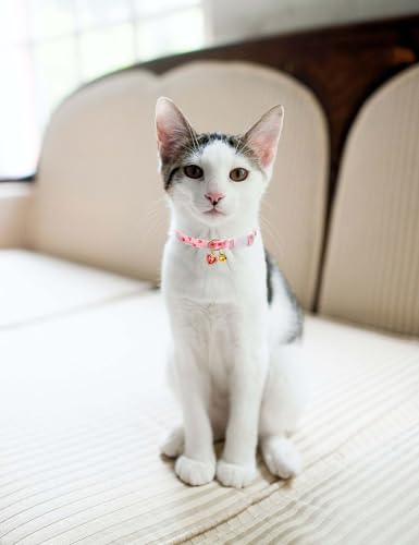 Cat Collar Breakaway with Bells,3 Pack Safety Adjustable Pet Collars,Ideal for Girl Boy Kittens. (Orange Green Pink) - color: Orange Green Pink