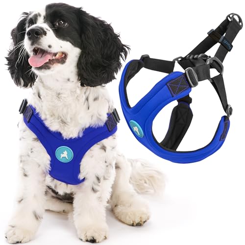 Gooby Escape Free Sport Harness - Blue, Medium - No Choke Step-in Patented Neoprene Small Dog Harness with Four-Point Adjustment - Perfect on The Go Dog Harness for Medium Dogs No Pull and Small Dogs - color: Blue, size: Medium chest (14.25-21.5")