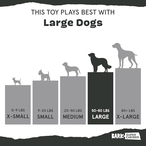 Barkbox Crinkle Fry Dog Toy for Large Dogs, Super Tough Nylon Construction for Aggressive Chewers and Designed for Durable Playtime - style: Crinkle Fry